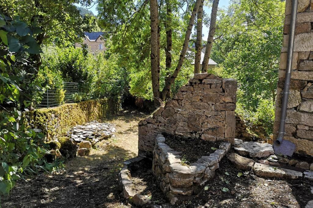 Maison Traditionnelle En Lozere Saint-Saturnin (Lozere) Exterior foto