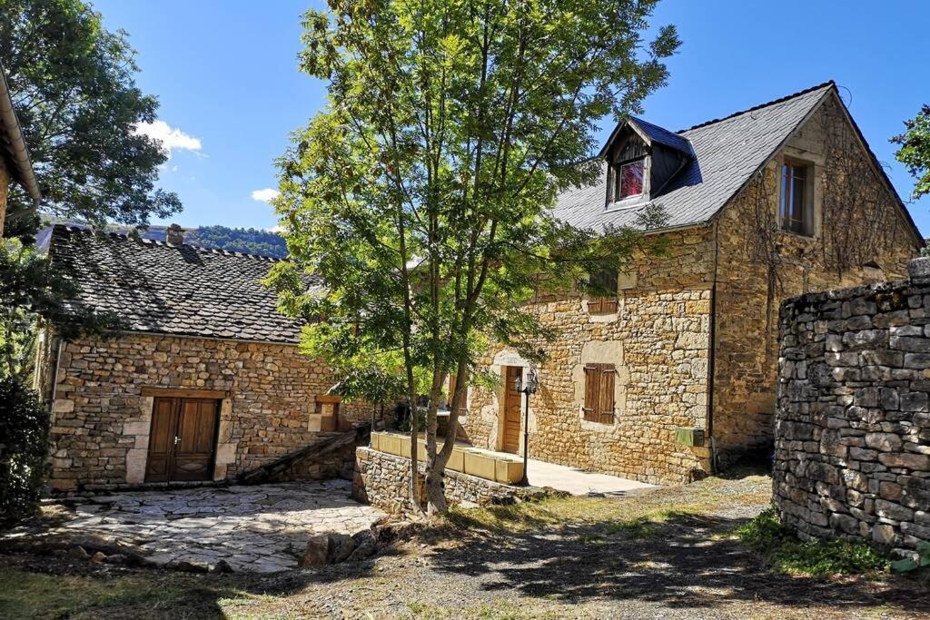 Maison Traditionnelle En Lozere Saint-Saturnin (Lozere) Exterior foto